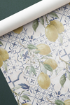 Vinilo Azulejos 6