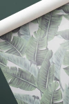 Botanico 1