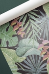 Botanico 15