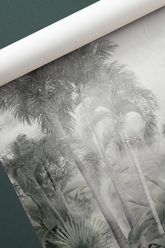 Botanico 42