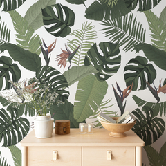 Botanico 45 - Tienda Online de Biodeco