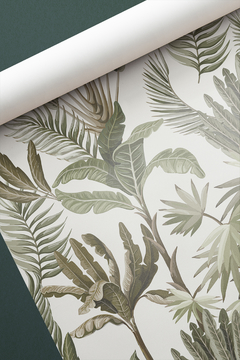 Botanico 86 - tienda online