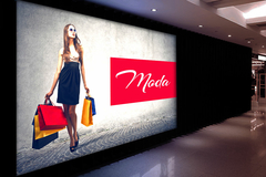 Lona Back - comprar online