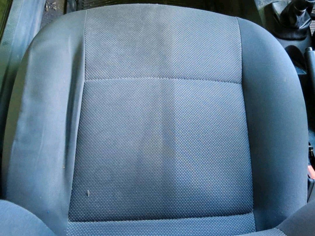 Limpia Tapizados Autolim + Aplicador De Regalo