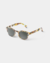 #C Sun Blue Tortoise en internet