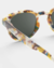 #C Sun Blue Tortoise - tienda online