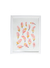 Cotton - comprar online