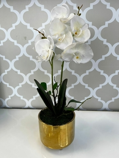 ORQUIDEA EN MACETA DE CERAMICA