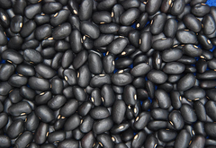 Feijão Preto - 500g