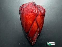 Mangará (Coração de Bananeira) - Unidade