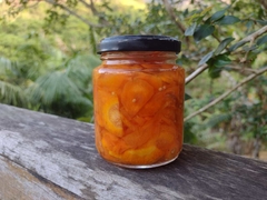 Sunomono de Cenoura