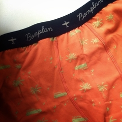 BOXER LAGOON CORAL en internet