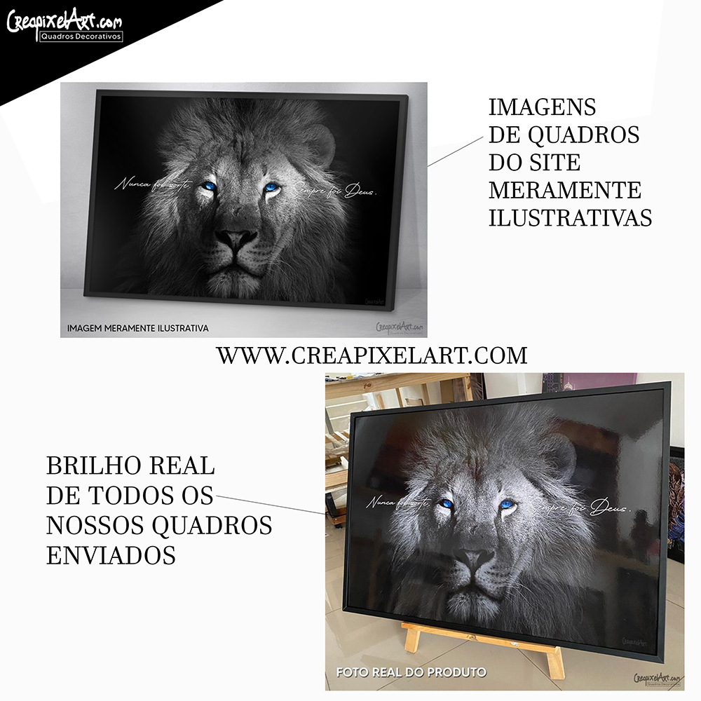 Quadro Decorativo - Leão Fogo e Água cod0083