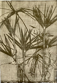 105 x 75 cm, Mixta sobre papel