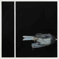 150 x 150 cm, Óleo sobre tela