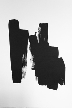 GILL - 35 x 50 cm, Fotolitografía