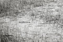 Fotografía 43 x 63 cm