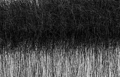 Fotografía 43 x 63 cm