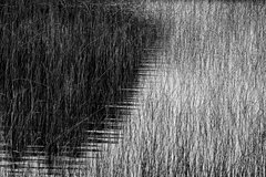 Fotografía 43 x 63 cm