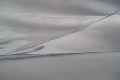 50 x 75 cm, Fotografía