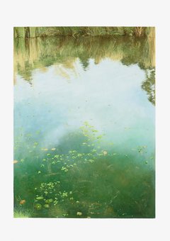 70 x 50 cm, Óleo sobre papel