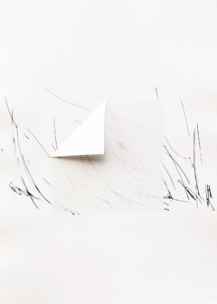 50 x 35 cm, Litografía y chine-collé