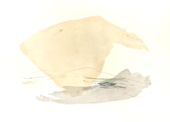 56 x 76 cm, Técnica mixta sobre papel