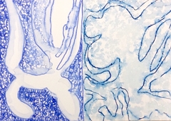 30 x 42 cm, Acuarela