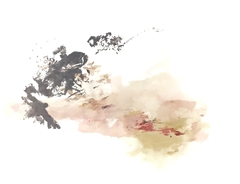 56 x 76 cm, Técnica mixta sobre papel