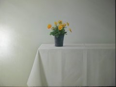 105 x 125 cm Óleo sobre tela