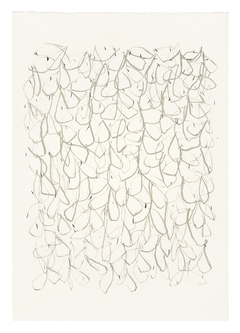 35 x 25 cm, Litografía