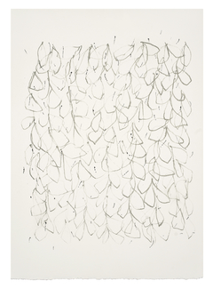 35 x 25 cm, Litografía