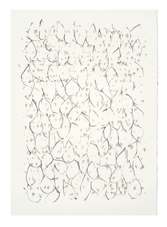 35 x 25 cm, Litografía