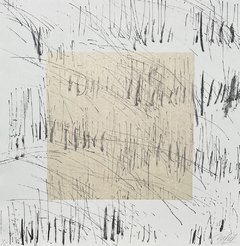 30 x 30 cm, Litografía y chine-collé