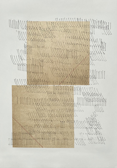50 x 35 cm, Litografía y chine-collé