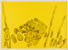 50 x 70 cm, Esmalte sobre papel serigrafiado