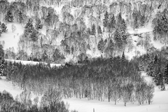 Fotografía 30 x 45 cm
