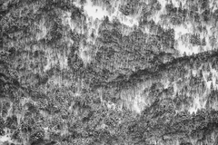 Fotografía 30 x 45 cm