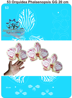 053 - Stencil Orquídea Phalaenopsis GG - comprar online