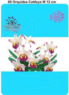 080 - Stencil Orquídea Cattleya M