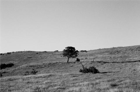 Carrusel 1