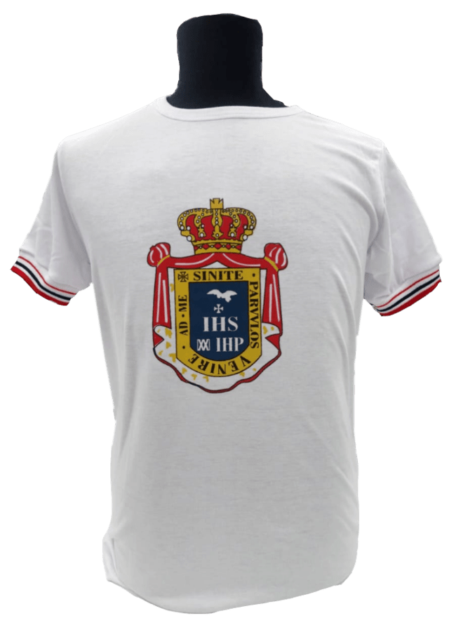 remeras de gimnasia