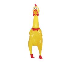 1902 // GALLINA MEDIANA