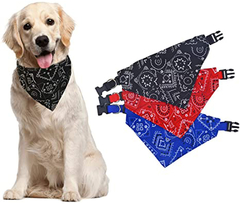 2995 // BLISTER COLLAR PAÑUELO GRANDE X12