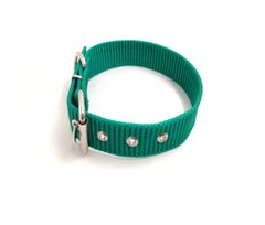 4036 // COLLAR PITBULL MEDIANO