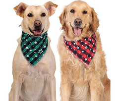 4692 // BANDANA CON COLLAR REGULABLE GRANDE