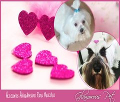 4695 // BLISTER GLAMOROUS PET X50