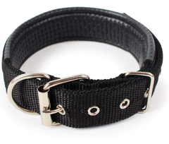 5092G // COLLAR ACOLCHADO GRANDE
