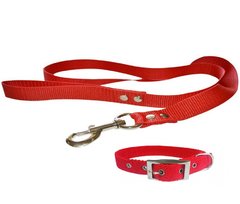 CC1 // CONJUNTO COLLAR CORREA N1