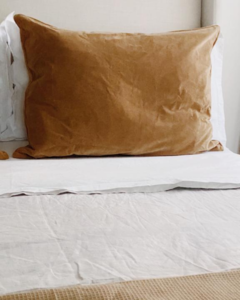 ALMOHADON VELVET 80X60 CM